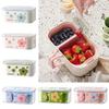 Double-layer Snack Fruit Box Grid Design Moisture-proof Fruit Plate Draining Basket Dust-proof Food Storage Box for Living Room