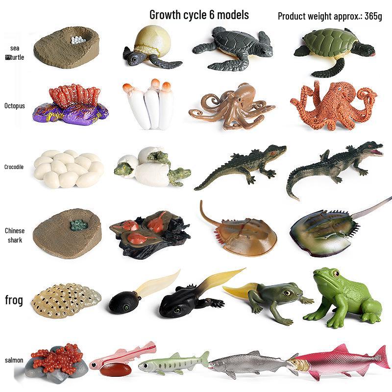 Ocean Wildlife Simulation Toy Set: Sea Turtle, Shark, Whale, Sea Lion, Tiger Shark, Manta Ray, Seal, Grouper.