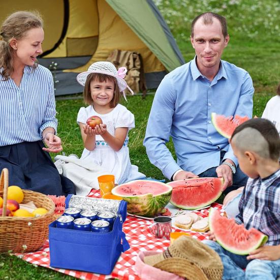 Geantă termică de prânz Geantă portabilă izolată Capacitate mare Pliabilă Ușoară Geantă frigorifică Echipament de camping