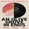 An Olive Grove In Ends by Moses McKenzie Paperback Book 9781472283153
