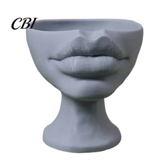 Sukkulenten Pflanztopf 3D-gedruckter lippenförmiger Blumentopf, Künstlerischer Skulpturaler Pflanzer mit matter Oberfläche, Multifunktionales Minimalistisches Schreibtischdekor für Wohn
