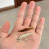 20Pcs Fishing Baits Soft Lures Realistic Looking Bright Color Natural Swimming Posture Luminous Shrimp Baits Artificial Lures Set