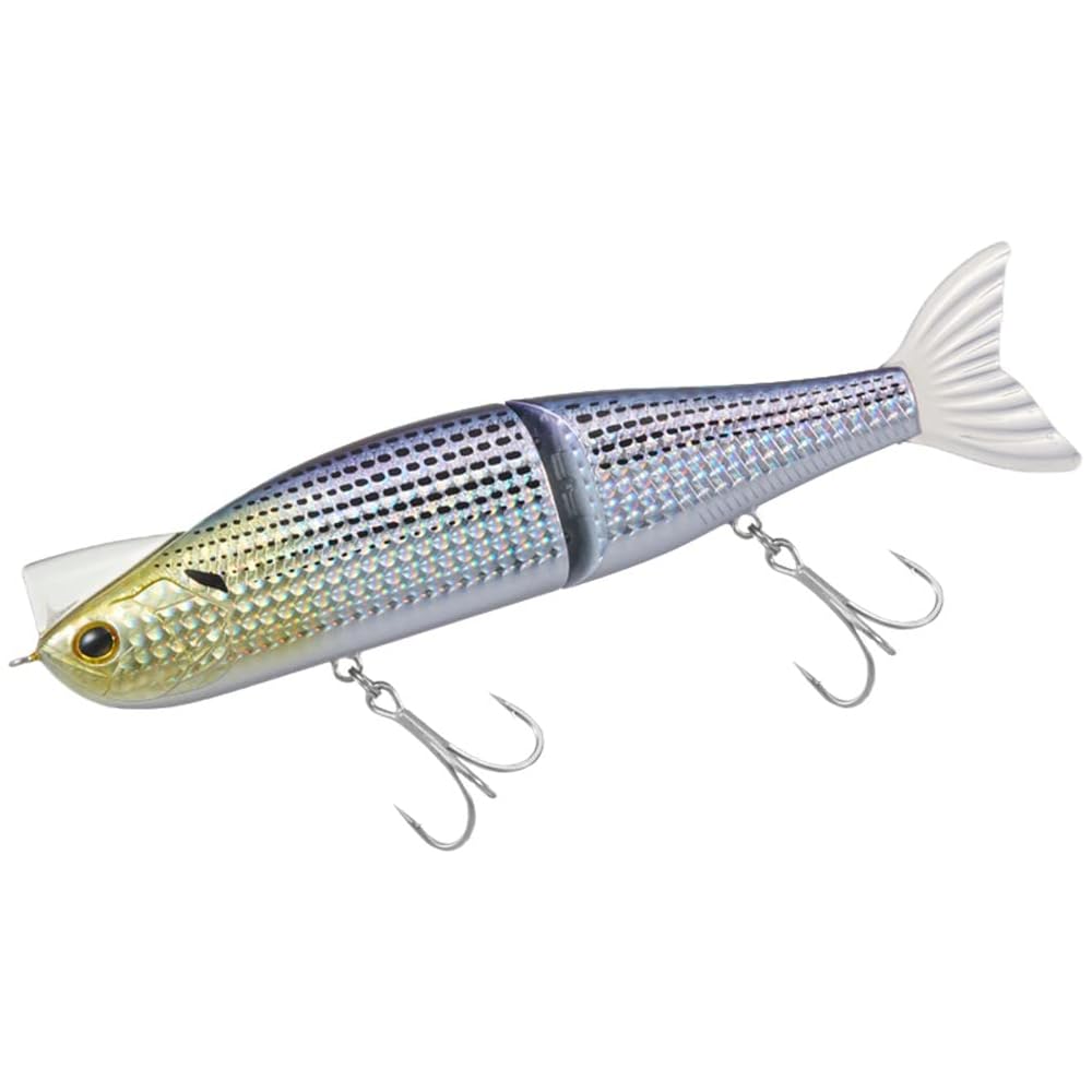 Daiwa Morethan Rage Shad J 170.5F 3D Konoshiro Fishing Lure 170.5mm