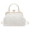 Rhombus chain small bag women's 2025 new plush bag versatile clip shell bag handbag hair bag