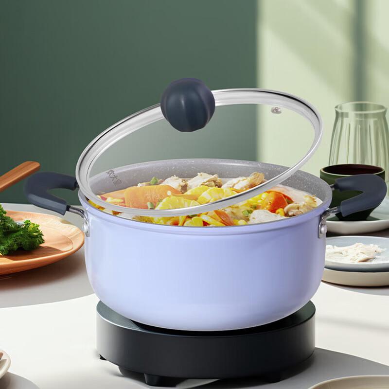 COOKER KING Maifan Stone Non-stick Soup Pot 22cm