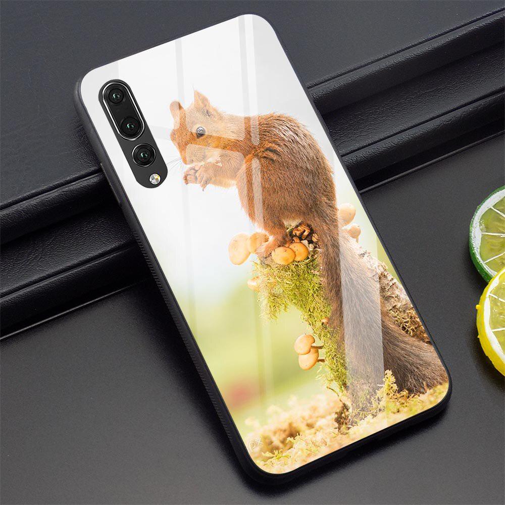 Buy Cute Squirrel Phone Cover For Huawei Y9 2019 P20 P30 Pro Lite Honor ...