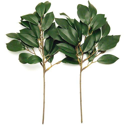 Pair of Artificial Sakaki Trees (33cm Long) from Buddhist Altar Shop Takita Shoten. A Must-have for Offerings At Shinto Altars and Shrines. [Certifica
