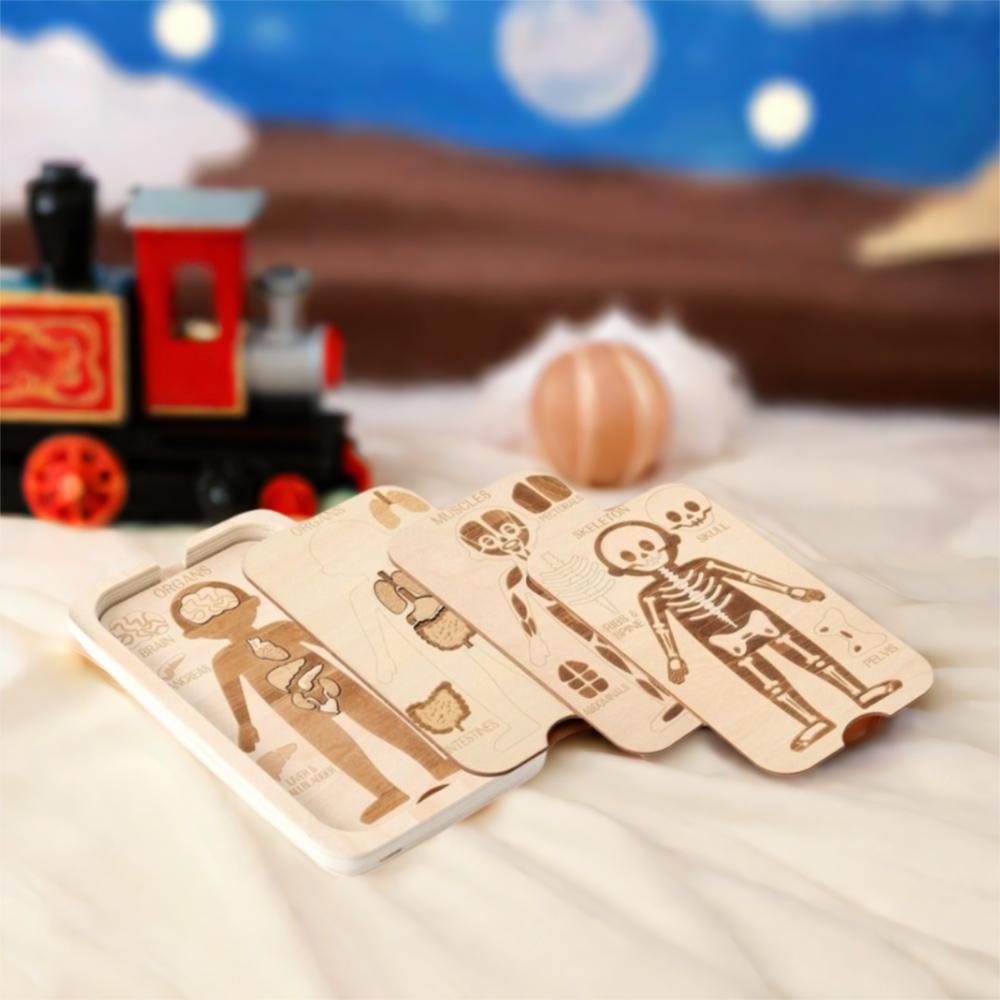 Organ Model Montessori Jigsaw Puzzle Human Structure Human Structure Toy  Science Learning