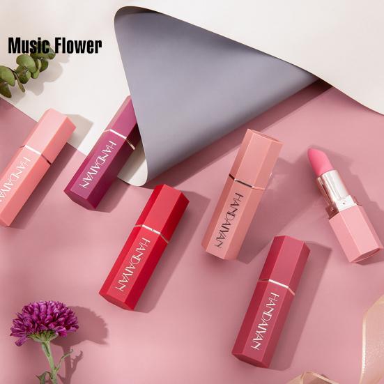 Matte Long Lasting Non Sticky Moisturizing Advanced Waterproof Lipstick Lip Gloss Cosmetic