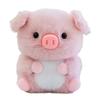 Plush Animal Dolls, Study Companions, Bedroom, Computer Desk Ornaments, Plush Toys, Gifts For Children.