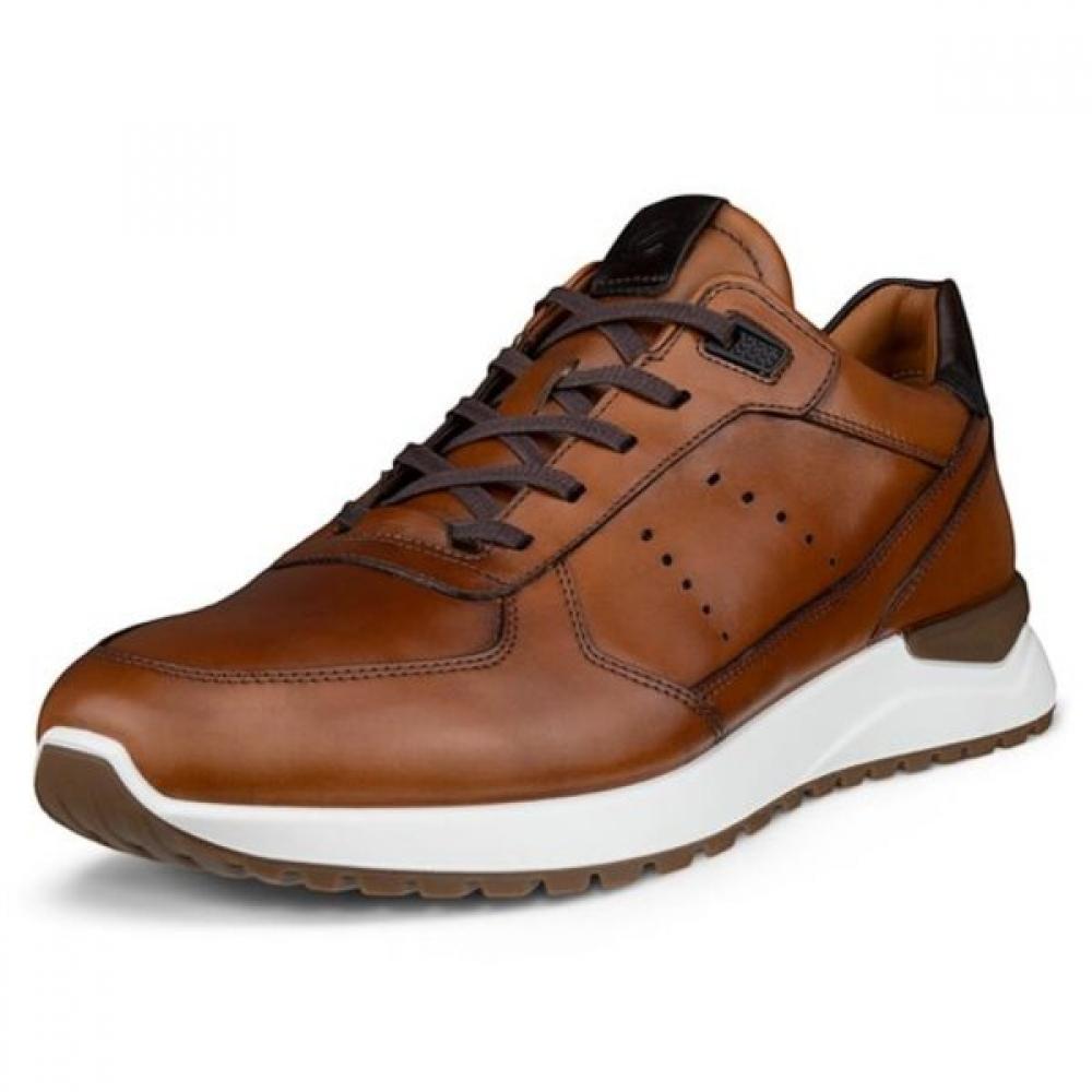 Eco Aster Neo 534924 61936