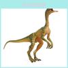 Compsognathus und Eoraptor Lunensis Dinosaurier-Tier-Modell mit beweglichen Gliedmaßen für Bildungszwecke und Sammlungen