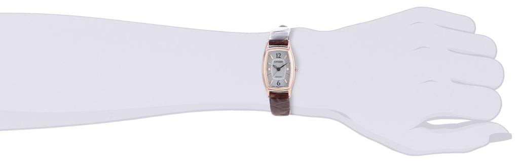 [Citizen] Se Exceed Eco Drive EX2002-03A Brun