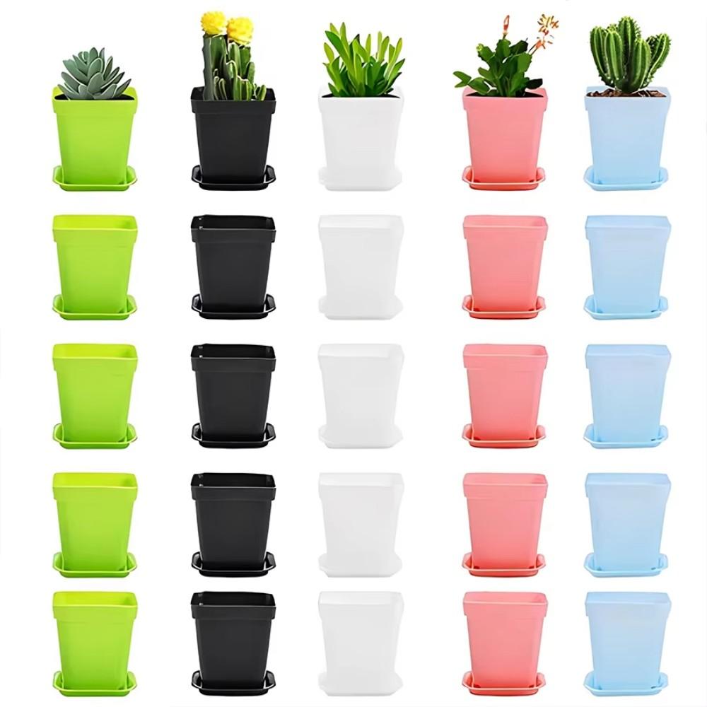 14/28 Stück Mini Kleiner Quadratischer Blumentopf Gartenbau Sieben Farben Blumentopf Sukkulententopf Kleiner Schwarzer Quadratischer Plastiktopf Anzuchtschale
