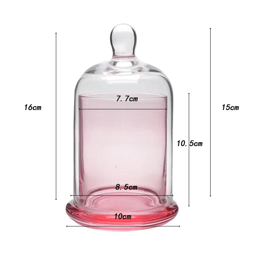 Cloche Glass Dome Candle Holder Table Decoration Terrarium Jar Home with Top Handle for Candy Nuts Fairy Lights Cake Plants