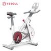 Cyclette Magnetica Intelligente per Esercizio a Casa YESOUL Spina CN (adattatore incluso)