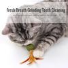 Cat Mint Ball Health and Safety Cat Feather Toy Ball Family Chase Cat Snacks Teeth Cleaning and Tooth Grinding Hair Removal Ball
