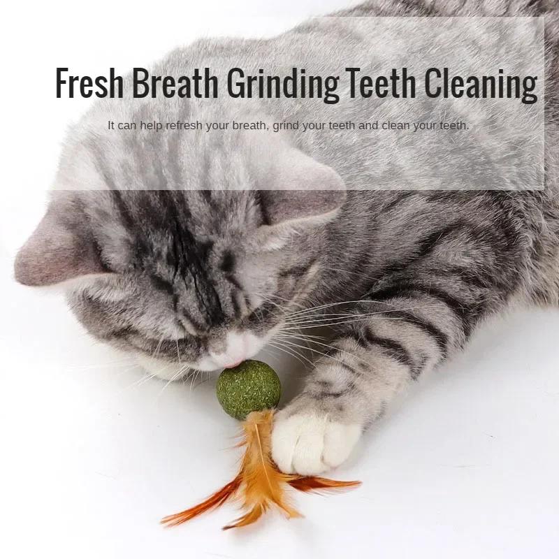 Cat Mint Ball Health and Safety Cat Feather Toy Ball Family Chase Cat Snacks Teeth Cleaning and Tooth Grinding Hair Removal Ball