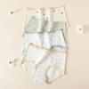 Fenteng Women's Antibacterial Cotton Briefs (4-Pack)
