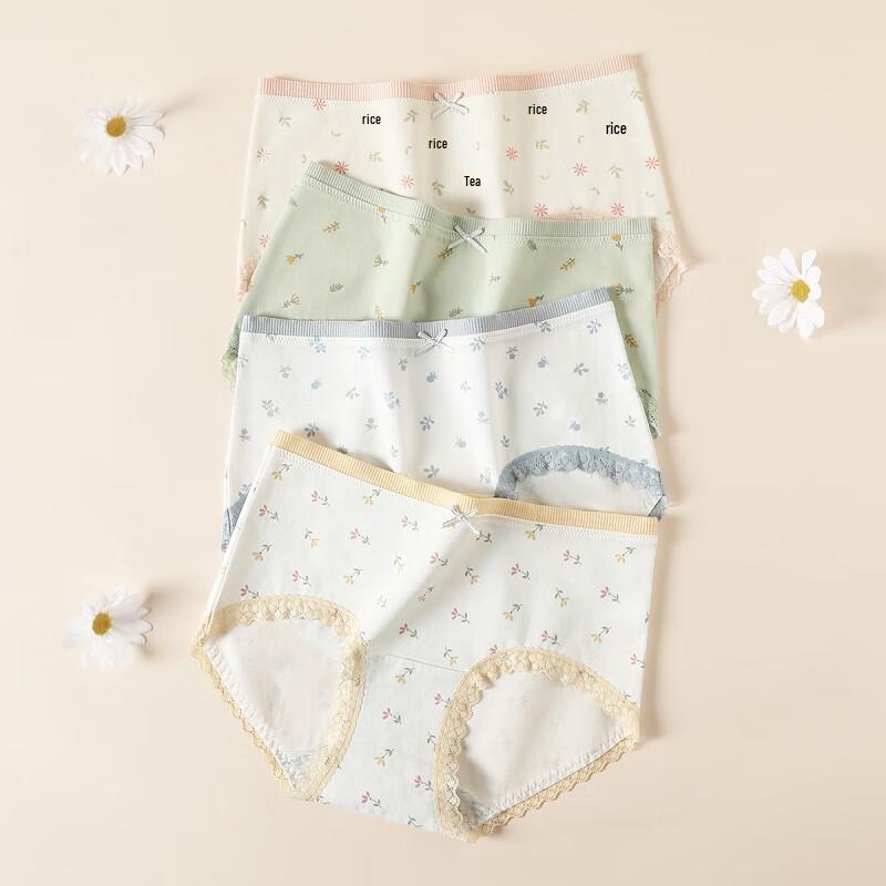 Fenteng Women's Antibacterial Cotton Briefs (4-Pack)