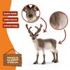 Schleich Wildlife Reindeer Figure 14837