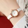 Women's Watch Fashion Small Dial Leather Band Quartz Watches