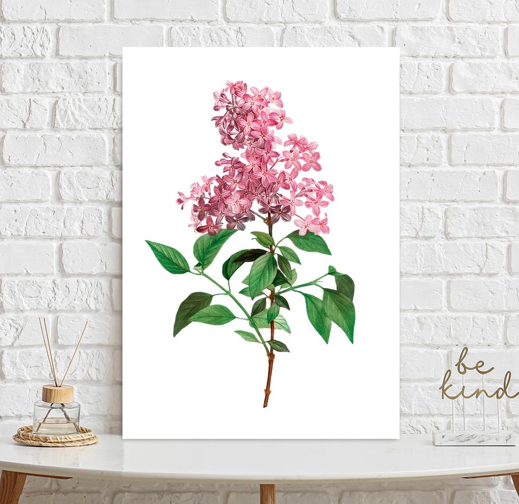 Poster Flower Lilac Plant Vintage