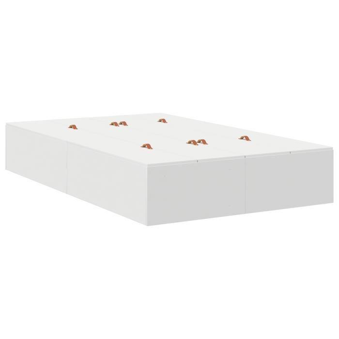 Cadre de lit de rangement vidaXL Blanc 120x190 cm 3335421