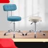 Adjustable Swivel Stool with Backrest and Casters