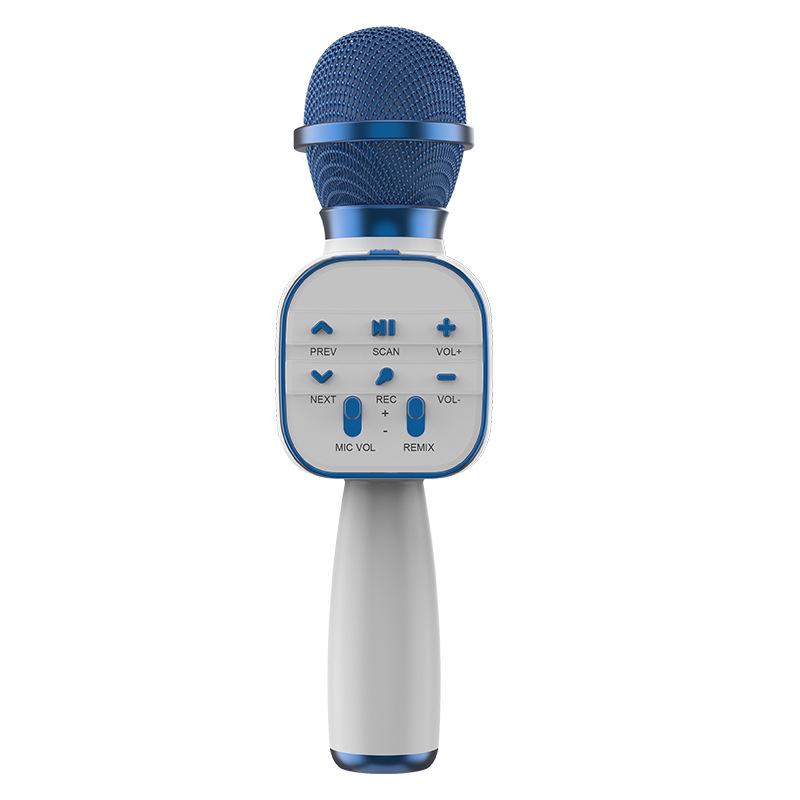 

Portable All-in-One Wireless Bluetooth Microphone & Speaker with Voice Changer