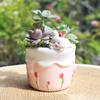 Carino tema dessert piante grasse vaso creativo animale fioriera per mini bonsai fata giardino ornamenti casa tavolo decorazione