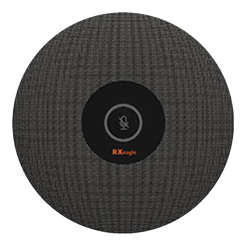 

Ronxun RX A300 Digital Array Microphone (CN version)