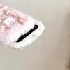 Soft Fluffy Plush bowknot Star Cat Ears 3D Pearl Phone Case For iPhone 17 Air 14 15 16 Plus 13 Pro Max 11 12 Warm Winter  Cover  Embroidery