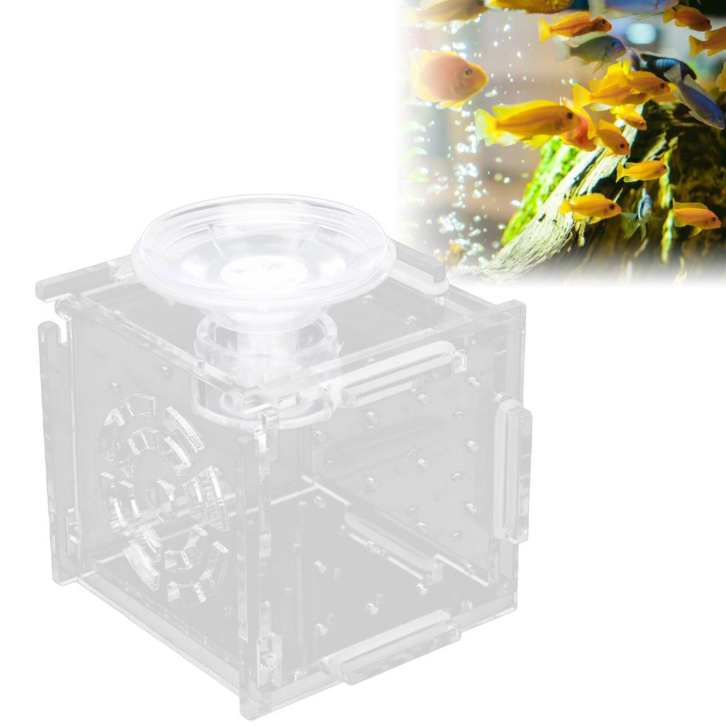 Fish Isolation Box Acrylic Fish Breeding Box Aquarium Hatchery for Baby Fishes Shrimp