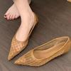 Fashion Women's Mesh Heeled Shoes Designer Pointed Toe Sandals Summer Fashion Shallow Pumps 2025 New Elegant Dress Zapatillas De Mujer