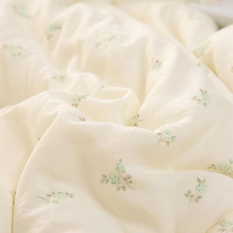 Good Sleep Cloud Cotton Double Winter Quilt