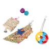 5pcs Foraging Toys Colorful Shred Bell Ball Basket Chewing for Pet Chicken Parrot  Bird