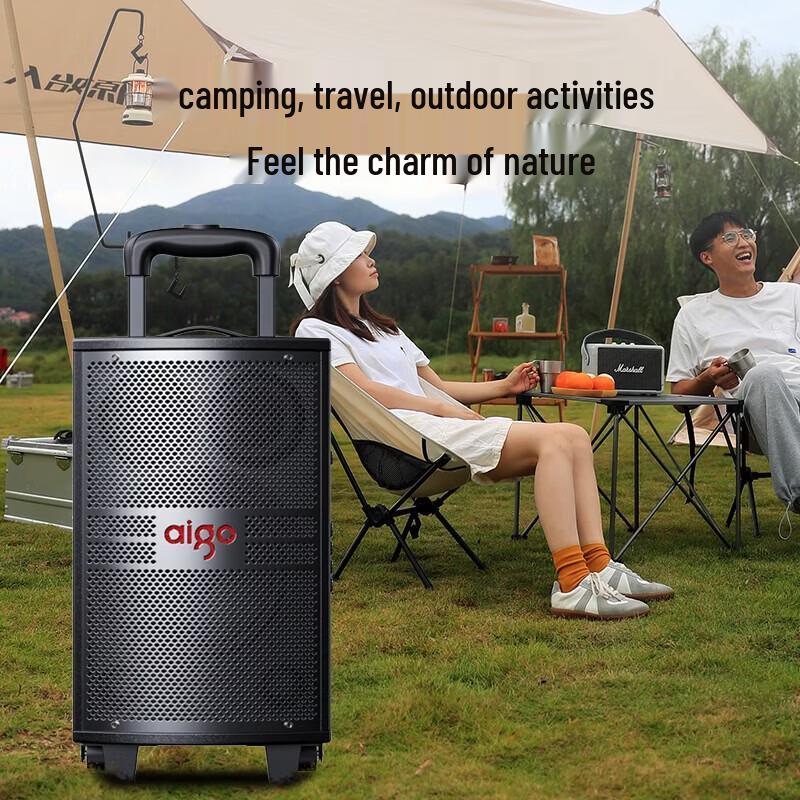 aigo S308 8-inch Portable Bluetooth Karaoke Speaker CN plug (adapter included)