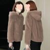 Coral fleece jacket women's short autumn and winter new small thickened hooded sweater jacket large size thin