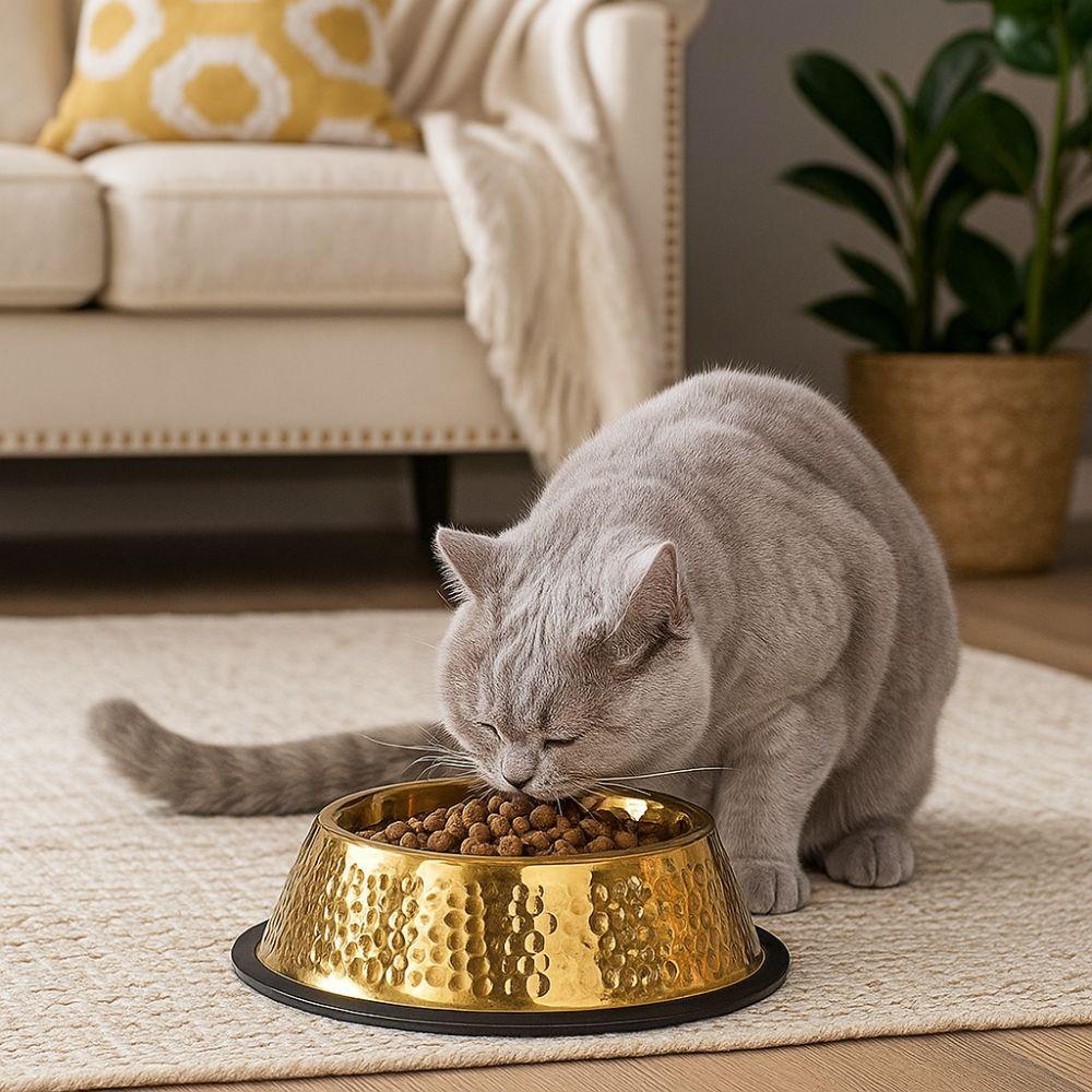 Large Capacity Pet Feeding Bowl Stainless Steel Cat Food Dish Dog Water Food Bowl  for Feeding