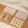 Multilayer Food-Grade Freezer Storage Box for Dumplings, Wontons, Eggs & More