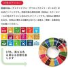 SDGs Official UN Headquarters Latest Rounded with Pin Mandatory To Wear At Enhance Your Perfect for Cute Pin Badge Badge, Specification, Finish,