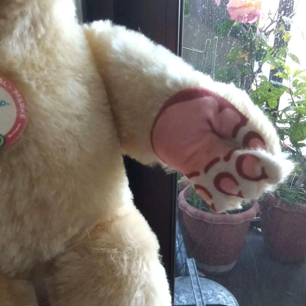 [USED] Steiff Teddy Bear * Snap Dickie * Mouth Opens and Closes * Head That Can Be Held In Hand Moves!