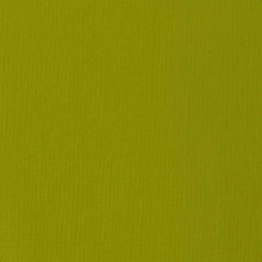 

Акриловая краска Liquitex BASICS 118 мл 4 унции тюбик Светло-оливковый зеленый United States