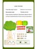 Kids' Arithmetic Apple Tree Building Blocks - Educational Game for Boys & Girls
