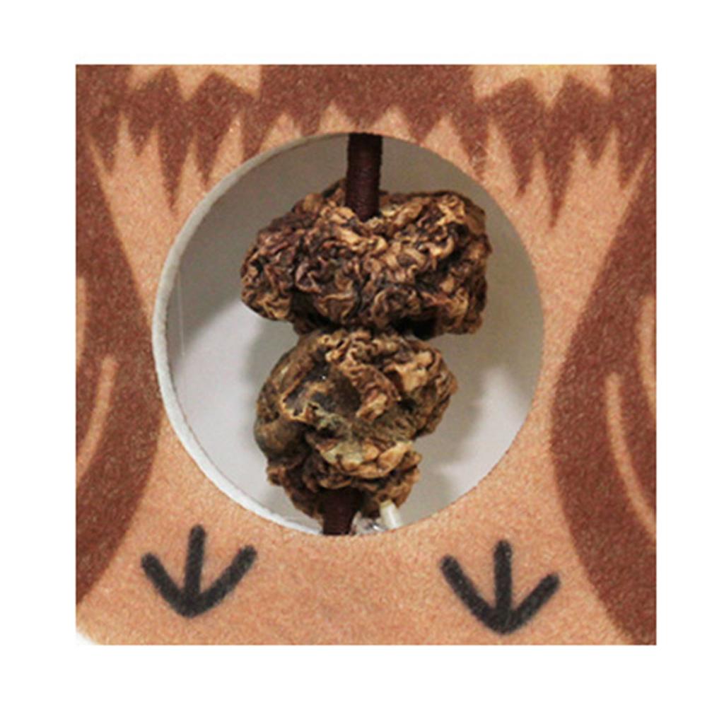 Einziehbares Katzenfeder-Spielzeug 2 m langes elastisches Seil Katzenminze enthalten leuchtende Farben zum Aufhängen an der Tür Katze