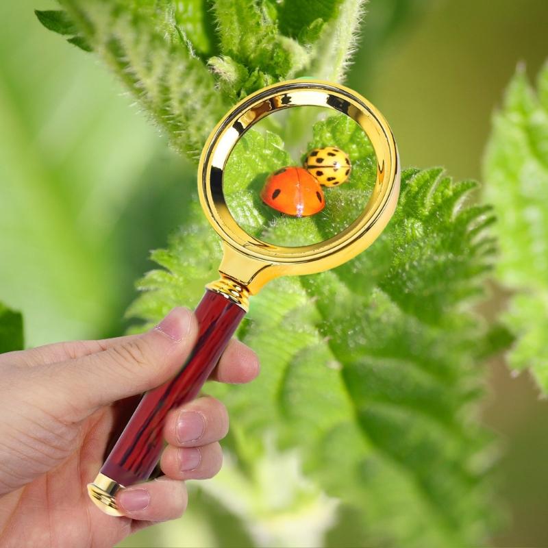 10X Handheld Magnifying Glass Shatterproof Reading Magnifier for Seniors and Kids,Non-Slip Handle Magnifier