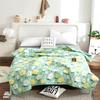 Factory Price Silk Blanket Silky Cooling Thin Quilt Summer Blanket Can  Machine-Wash Single/Queen/King Size