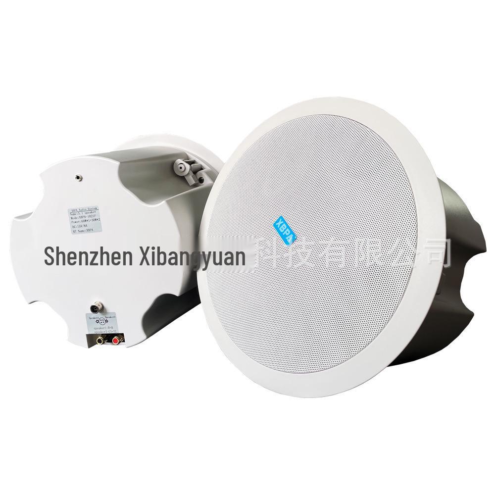 Wireless Ceiling Speaker with App Control and Multi-Room Stereo Sync
