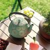 Nanbu Iron Cast Iron Teapot, 1200ml Large Capacity, with Infuser, Stovetop Compatible, Sakura Design, Loose Leaf, Enamel Finish, Silicone Handle